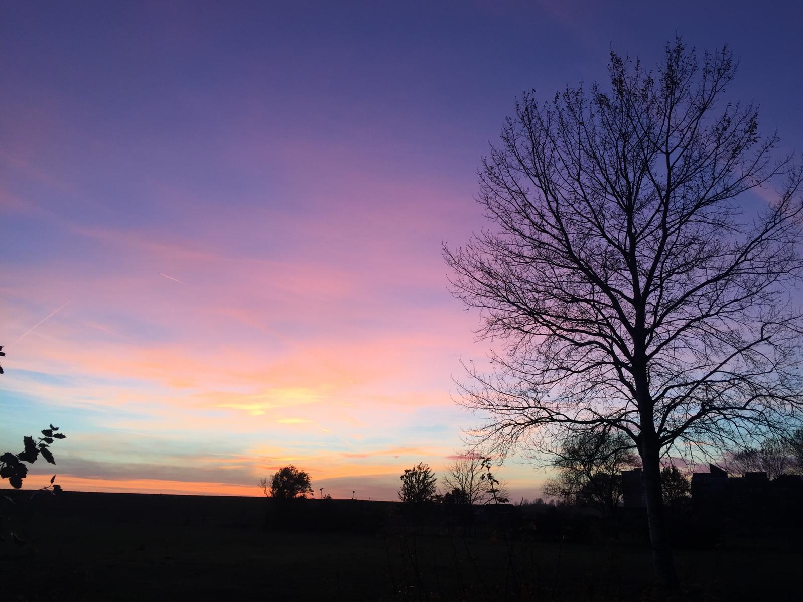 /userfiles/images/anecdotes/6946a0ce53641_WhatsApp Image 2025-12-20 at 14.05.16.jpeg